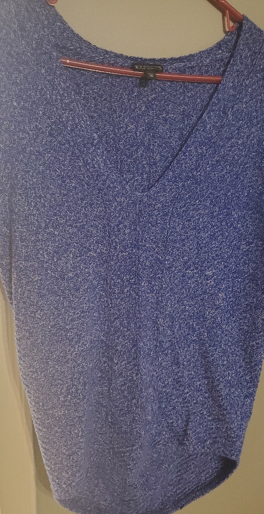 Express Blue and White hi/low sweater